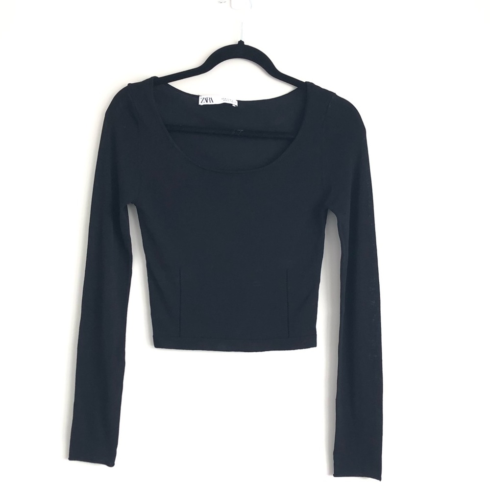 Zara Demi Sheer Long Sleeve Crop Top